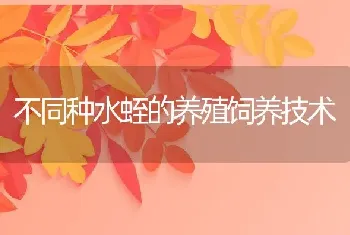 不同种水蛭的养殖饲养技术