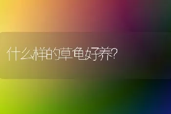 什么样的草龟好养？