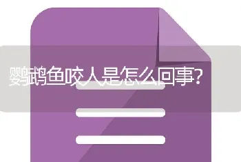 鹦鹉鱼咬人是怎么回事？