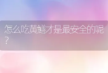 怎么吃黄鳝才是最安全的呢？