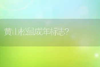 黄山松鼠成年标志？