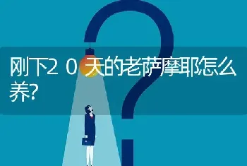 刚下20天的老萨摩耶怎么养？