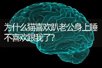 狗狗得细小了，脱水症状是什么样？