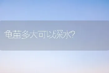 龟苗多大可以深水？