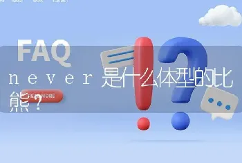 never是什么体型的比熊？