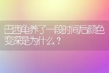 巴西龟养了一段时间后颜色变深是为什么？