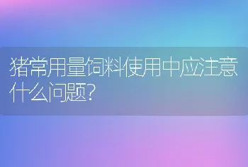 猪常用量饲料使用中应注意什么问题？