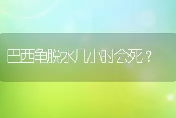 巴西龟脱水几小时会死？