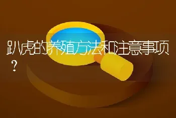 什么兔子好吃又好养？