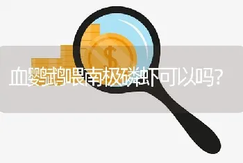 血鹦鹉喂南极磷虾可以吗？