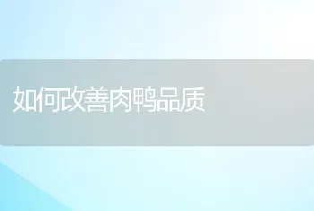 如何改善肉鸭品质