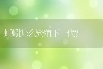 蚯蚓怎么繁殖下一代？