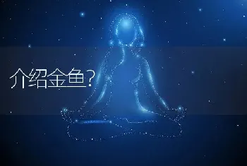 介绍金鱼？