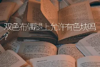 双色布偶腿上允许有色块吗？