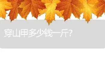 穿山甲多少钱一斤？