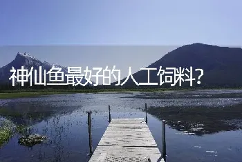 黄曼龙鱼繁殖过程？