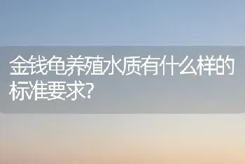 公猫绝育当天夜里死了，公猫绝育了发情怎么办？