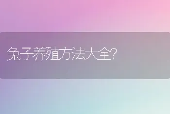 兔子养殖方法大全？