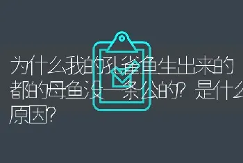 为什么我的孔雀鱼生出来的都的母鱼没一条公的？是什么原因？