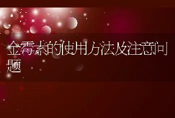 金霉素的使用方法及注意问题