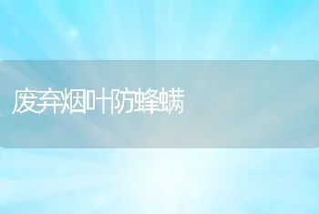 废弃烟叶防蜂螨