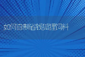 如何自制省钱狐狸饲料