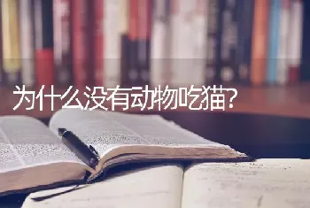 阿拉斯加几个月好养？