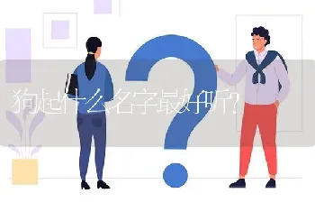 狗起什么名字最好听？