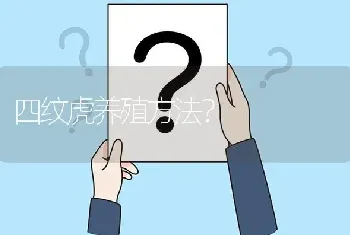 四纹虎养殖方法？