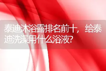 泰迪沐浴露排名前十，给泰迪洗澡用什么浴液？