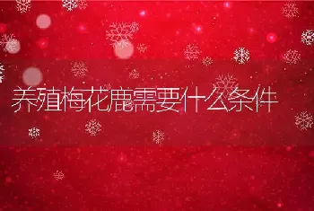 养殖梅花鹿需要什么条件