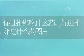 促进排卵吃什么药，促进排卵吃什么药图片