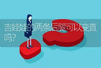 吉娃娃的两条后腿可以变直吗？