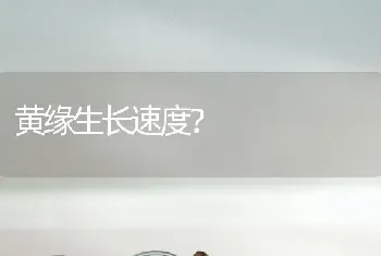 黄缘生长速度？