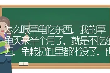 怎么喂草龟吃东西，我的草龟买来半个月了，就是不吃东西，龟粮扔缸里都化没了，也不吃，弄的水很恶心，有说喷水后喂，我试了，喷完水把龟和粮放鞋盒子里，放了一宿也没吃过，总是特意数