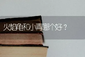 火焰龟和小青哪个好？