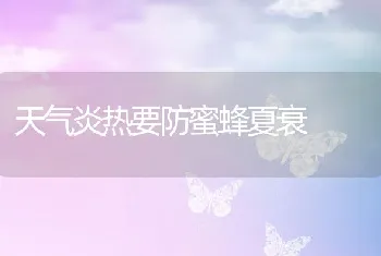 天气炎热要防蜜蜂夏衰