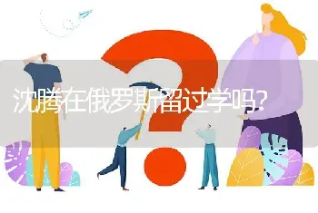 沈腾在俄罗斯留过学吗？