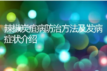 辣椒炭疽病防治方法及发病症状介绍