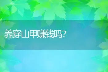 养穿山甲赚钱吗？