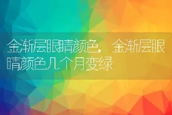 金渐层眼睛颜色，金渐层眼睛颜色几个月变绿