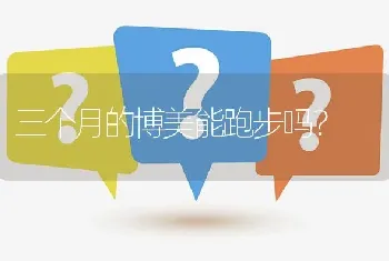 三个月的博美能跑步吗？