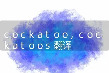 cockatoo，cockatoos翻译