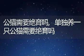 公猫需要绝育吗，单独养一只公猫需要绝育吗