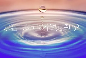 水温十度可以养银龙鱼吗？