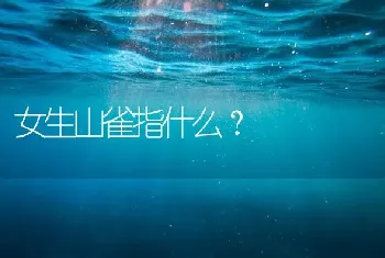 女生山雀指什么？