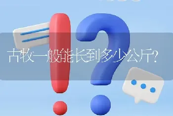 古牧一般能长到多少公斤？