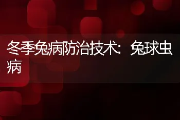 冬季兔病防治技术:兔球虫病