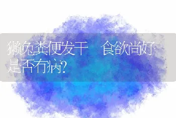 獭兔粪便发干 食欲尚好 是否有病？