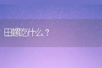 田螺吃什么？